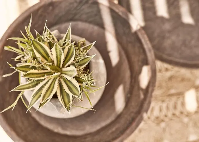 Naxian On The (adults Only) Hotel Maragkas