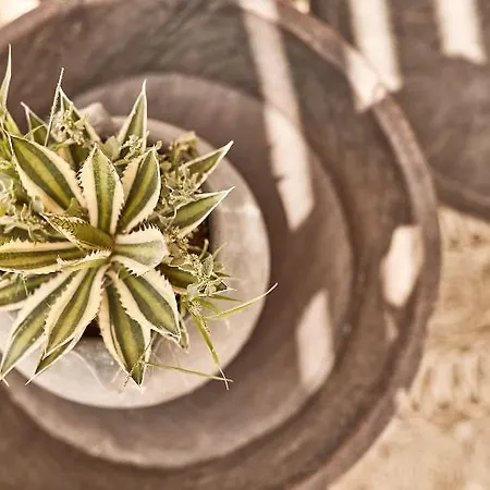 Naxian On The (adults Only) Ξενοδοχείο Maragkas